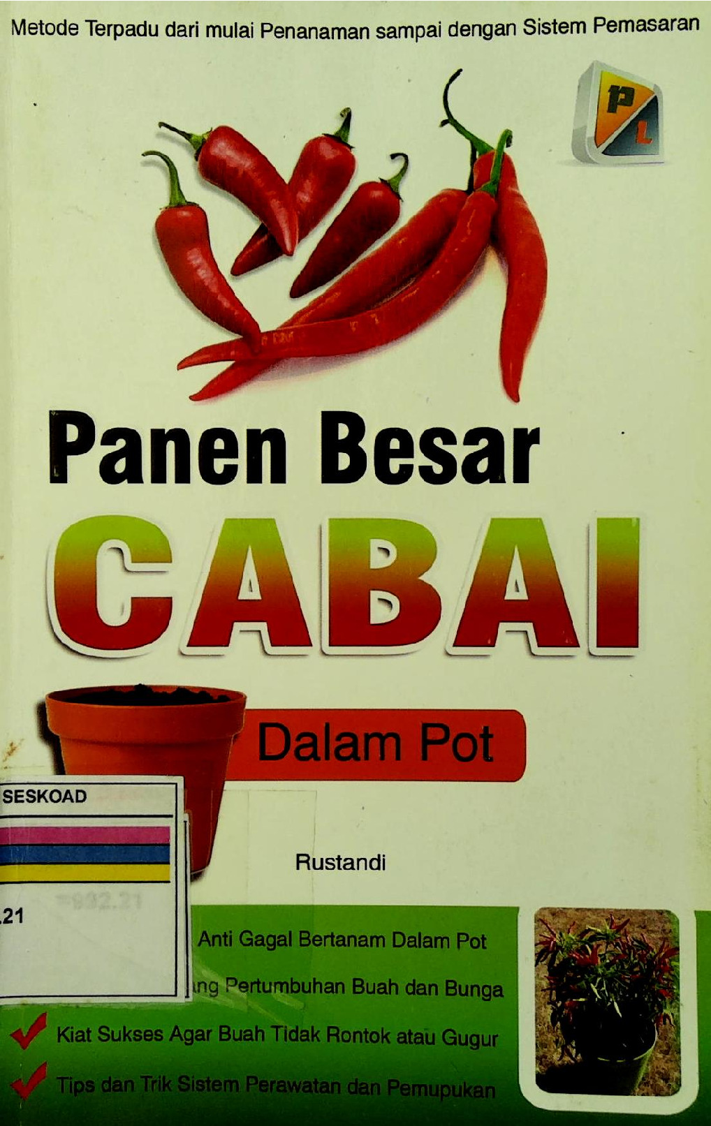 Panen Besar Cabai Dalam Pot